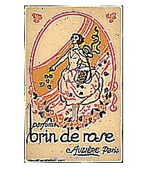 Brin de rose