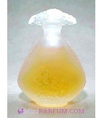 Flacon eaux Jasmin