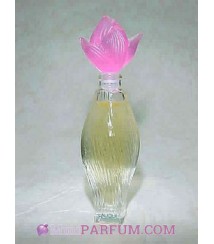 Nilang Rose vif