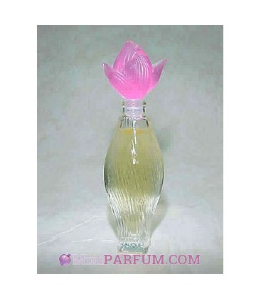 Nilang Rose vif