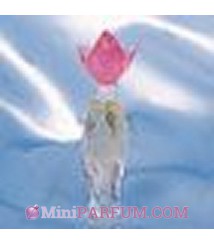 Nilang Rose