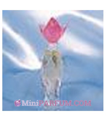 Nilang Rose