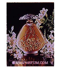 Lalique Flacon Collection 1995